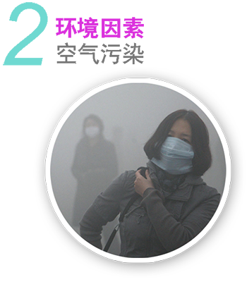 环境因素 空气污染